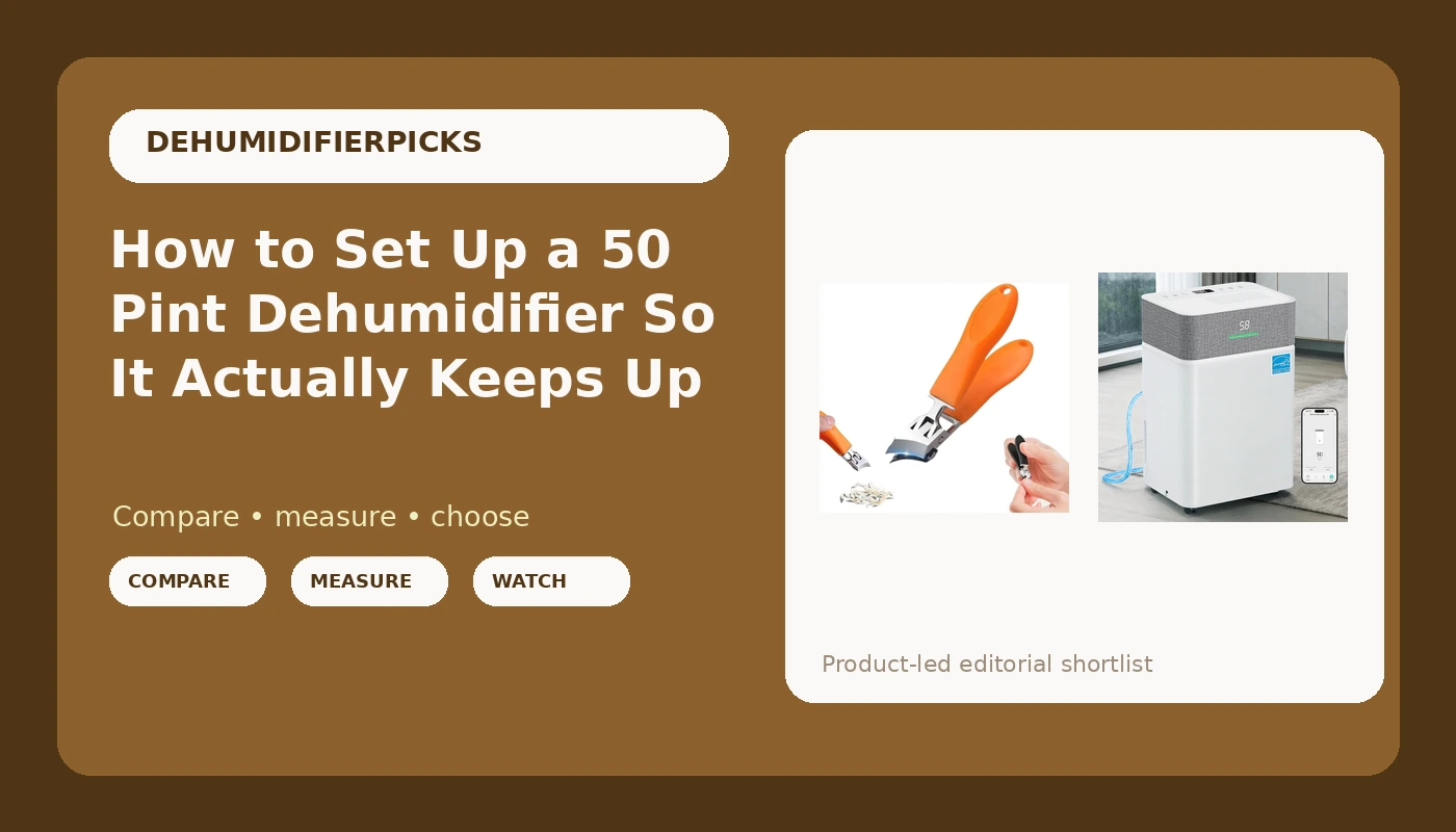 How to Set Up a 50 Pint Dehumidifier So It Actually Keeps Up